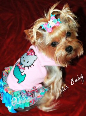 hello kitty dog sweater